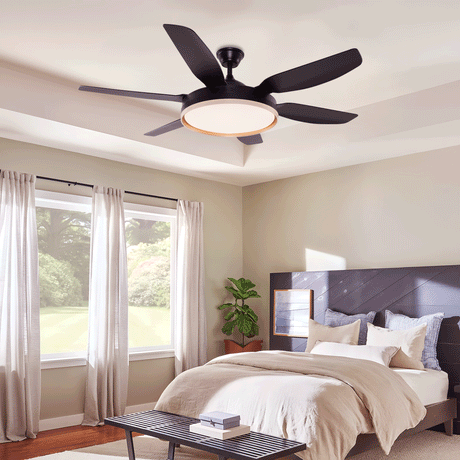 Lightsin Modern Smart Black Ceiling Fan Light with Remote and 6 Speeds Lightsin UK 