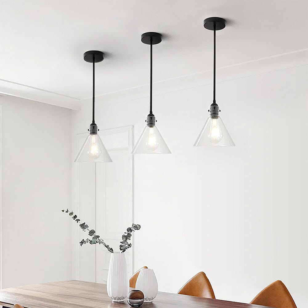 Matte Black 1-Light Pendant with Clear Glass Lampshade Pendant Lights Living and Home 