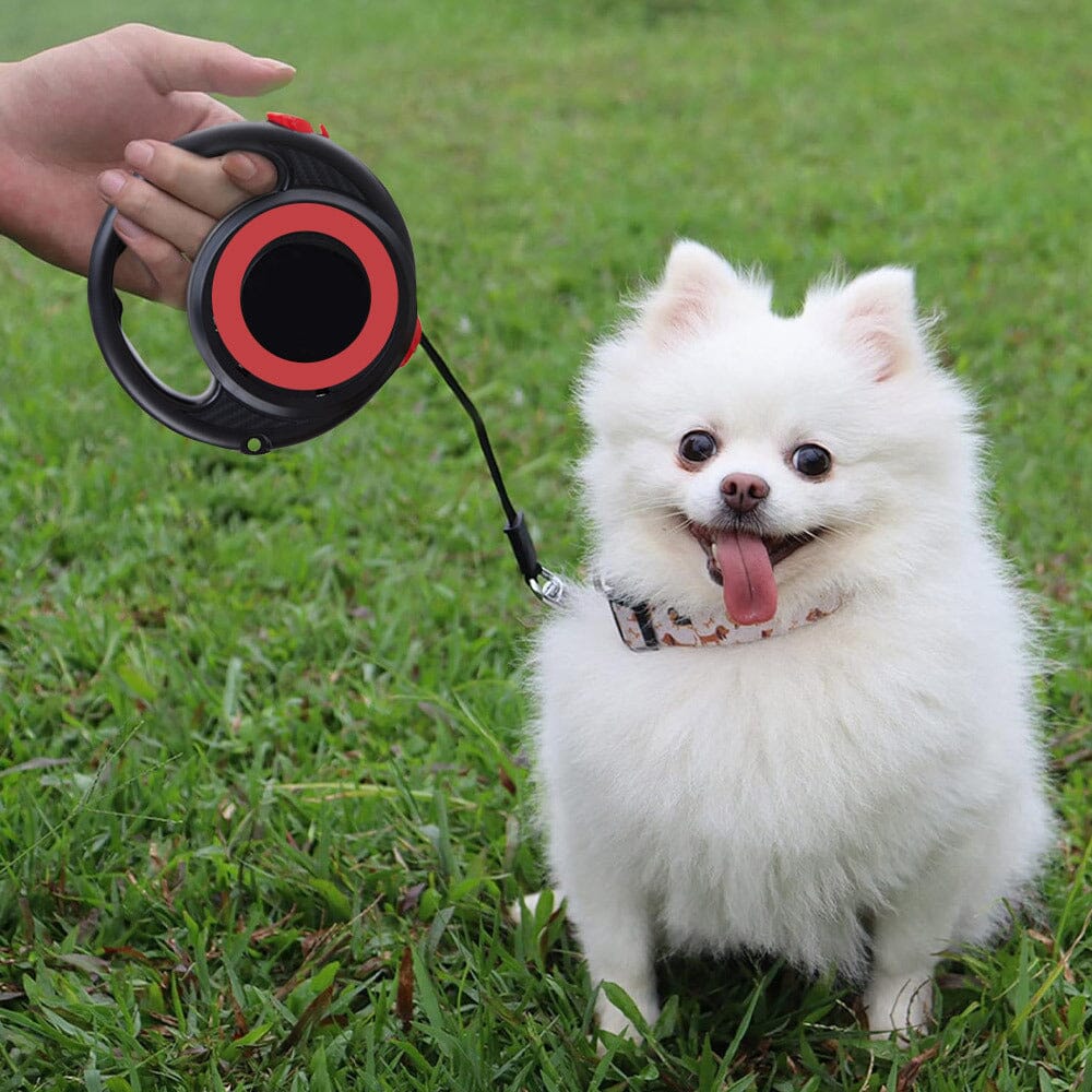 Retractable Pet Leash with 5m Flexibility Living and Home 