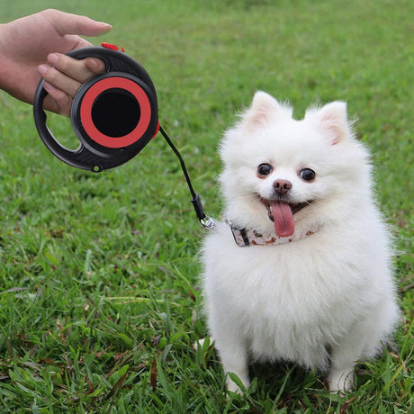 Retractable Pet Leash with 5m Flexibility Living and Home 