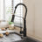 Modern Kitchen Pull Down Faucet Kitchen Taps Living and Home Black 