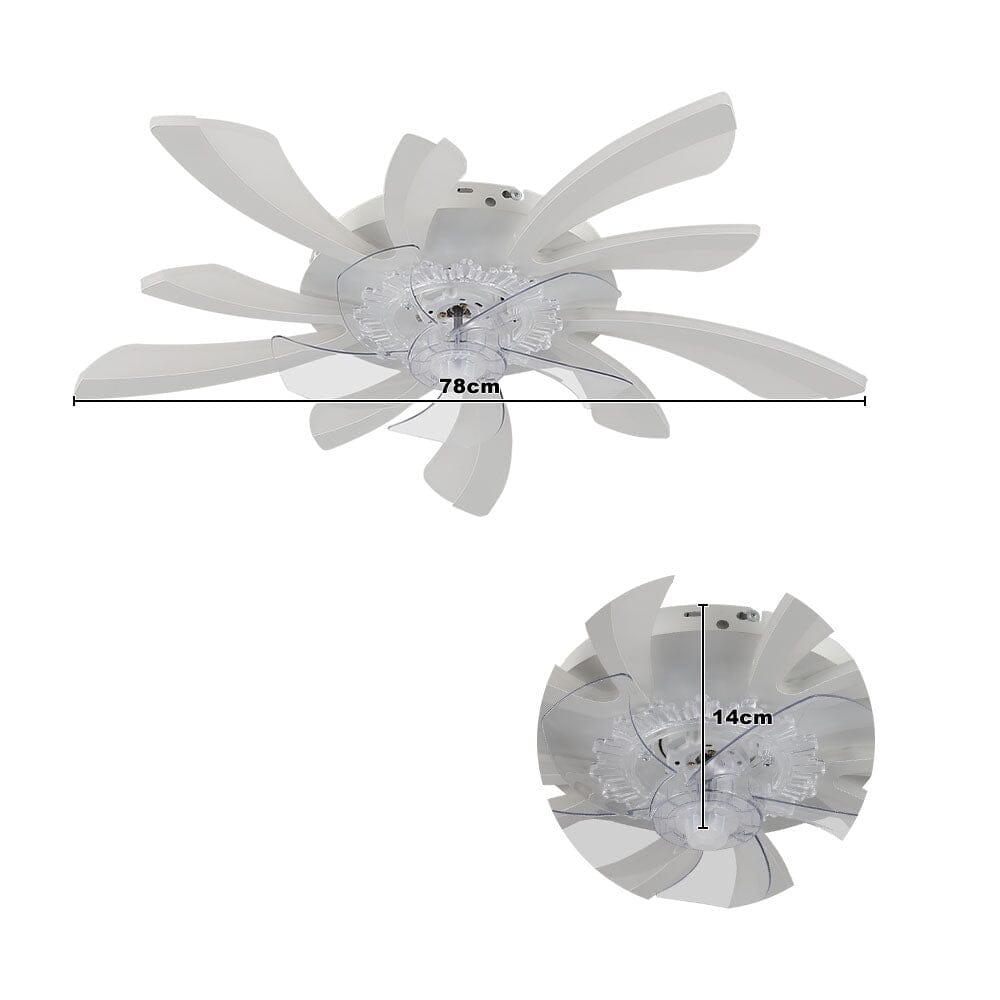 78cm Dia. Acrylic Creative Ceiling Fan with LED Lights Ceiling Fans Living and Home 