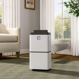 Dehumidifier