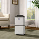 Dehumidifier