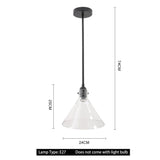 Matte Black 1-Light Pendant with Clear Glass Lampshade Pendant Lights Living and Home 