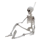 Poseable Skeleton Props for Halloween Party Decoration Halloween Living and Home 