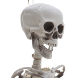 Poseable Skeleton Props for Halloween Party Decoration Halloween Living and Home 