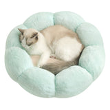 Plush Flower Shape Pet Bed for Dogs and Cats Living and Home 