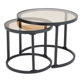 Set of 2 Tea Glass Round Nesting Coffee Table Coffee Tables Living and Home 