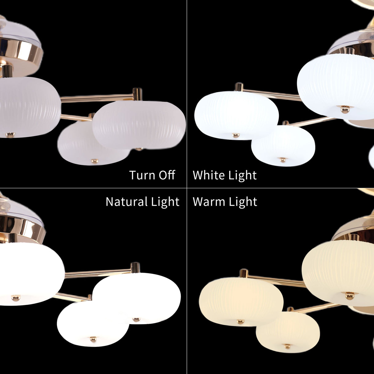 Lightsin Ceiling Fan Light with 6-Speed Control in Copper and Acrylic Lightsin UK 