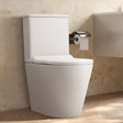 80cm H 2-Piece Elongated Toilet with Dual Flush Toilet Living and Home 