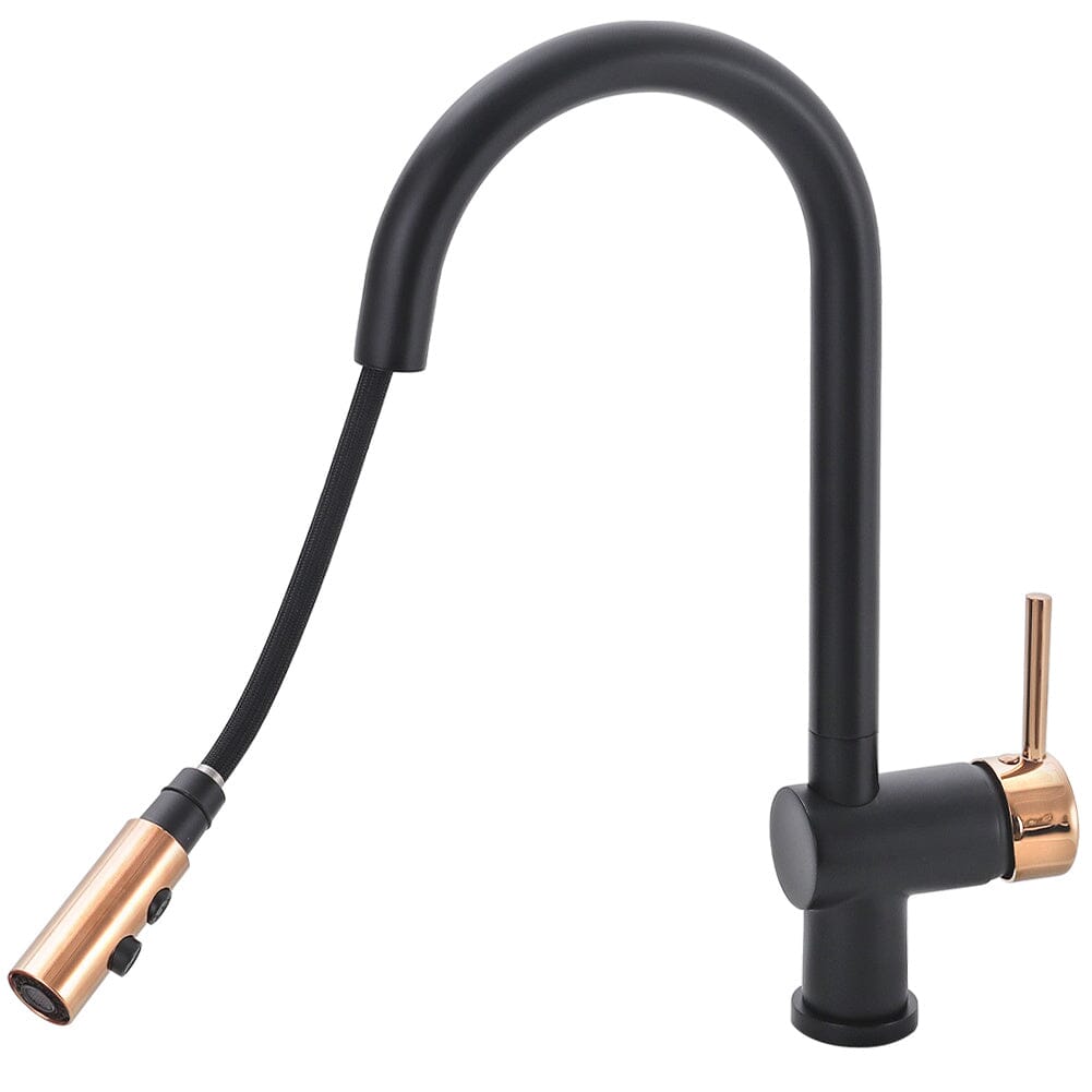 Black Pull Out Single Lever Mono Tap with 2 Jet Options